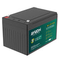 AYUDH 12V 12AH LFP Battery for Agriculture Spray Pump, Solar Light, Toys